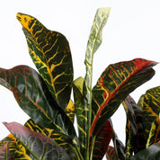 Croton artificiel en pot Stan - H73 x Ø40 cm - Panaché