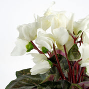 Künstliche Alpenveilchenpflanze im Blumentopf Stan - H30 x Ø30 cm - Weiß