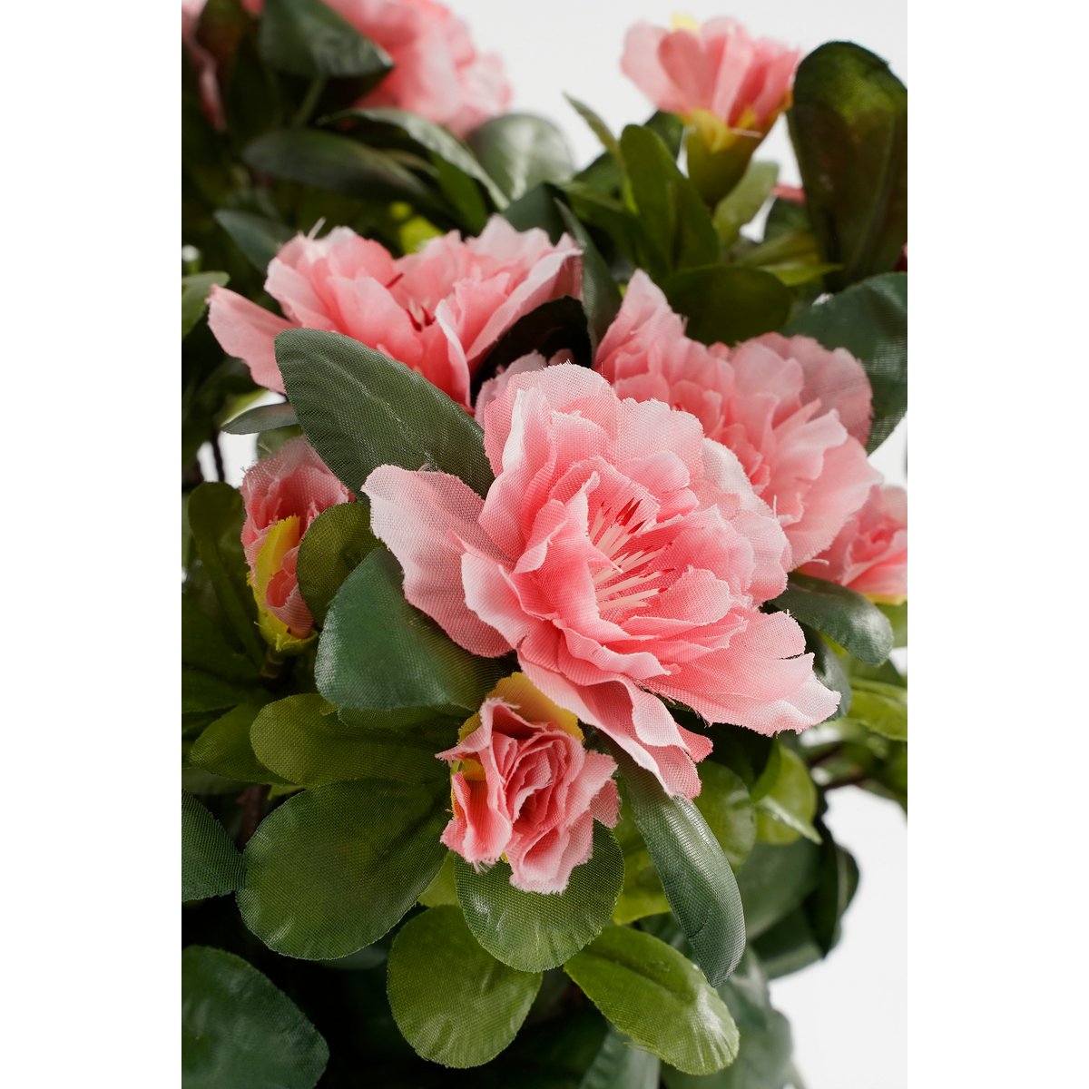43db4d6f-0695-4dd7-bda6-b5db1441cc4d_1200x1200_fill.jpg