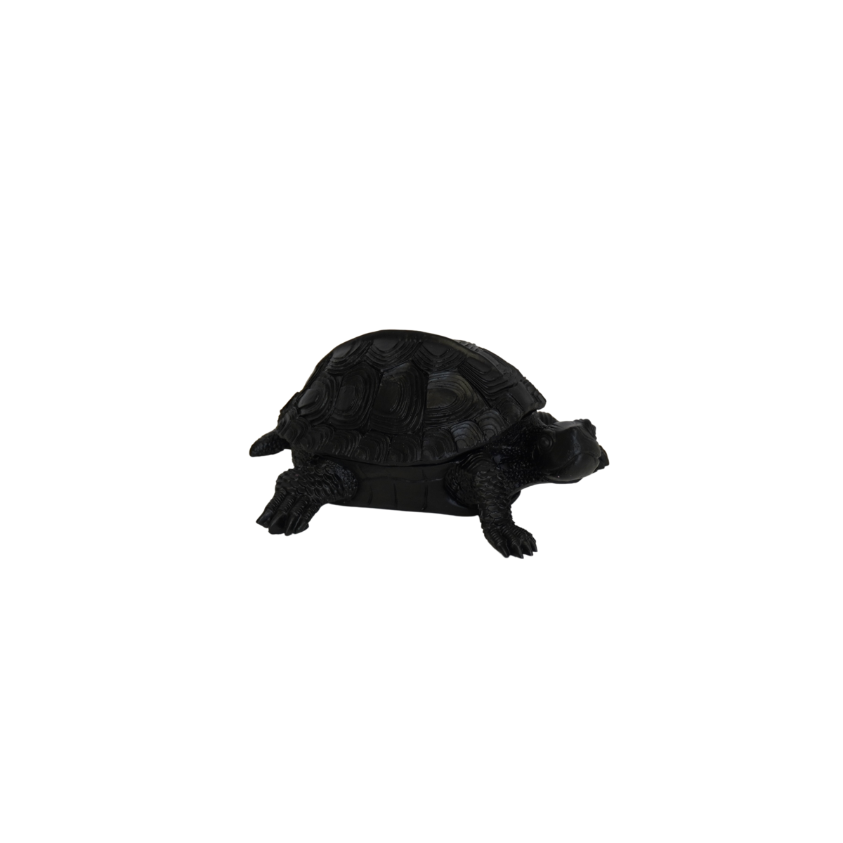 449ea473-dc93-4a81-b523-8eac62bc7269_1200x1200_fill.png