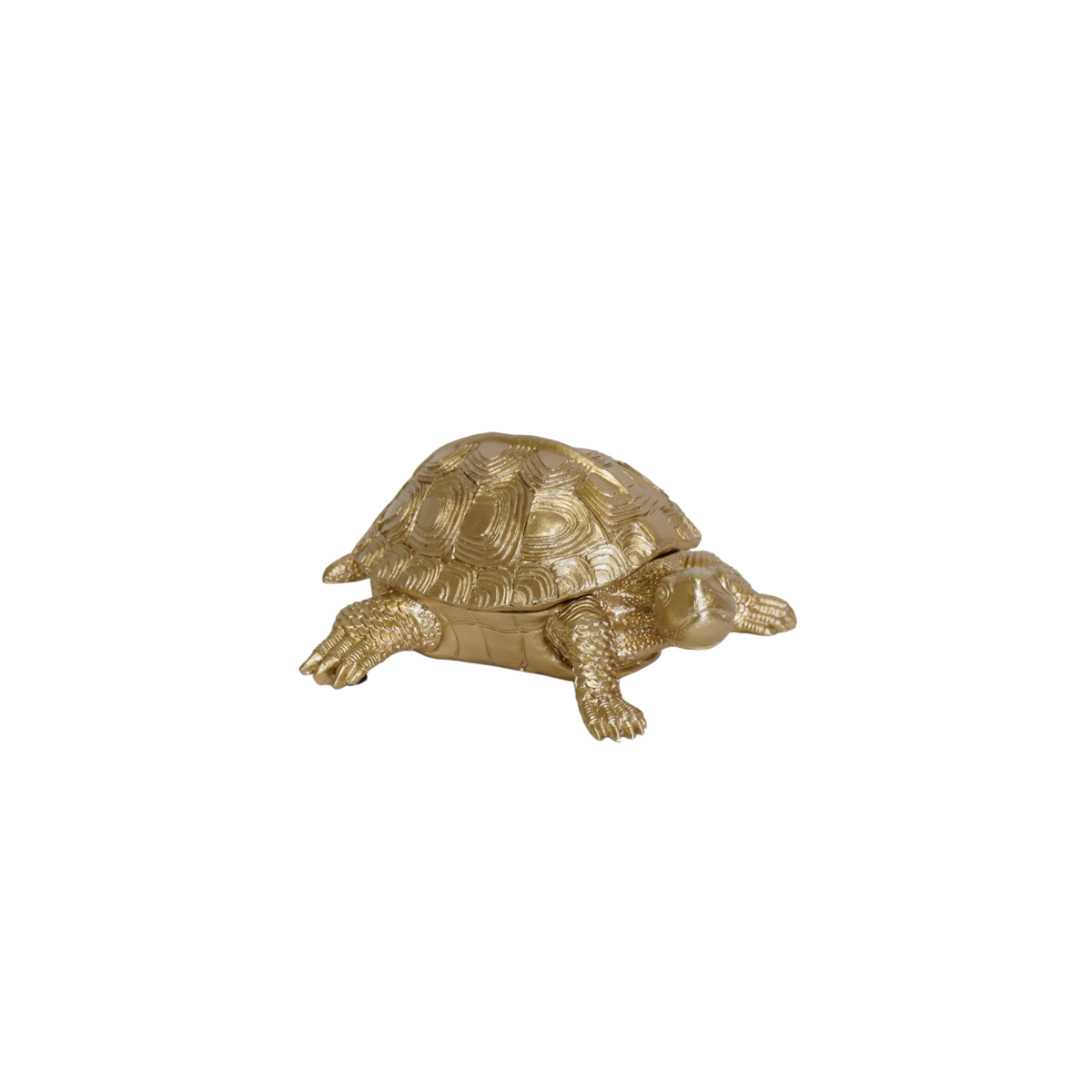 44d80203-54db-49cf-af09-19fc2a6ac01e_1200x1200_fill.png