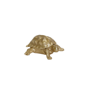 Schildpaddoos - Polyresin - Goud - 15,5x13,5x7,5cm