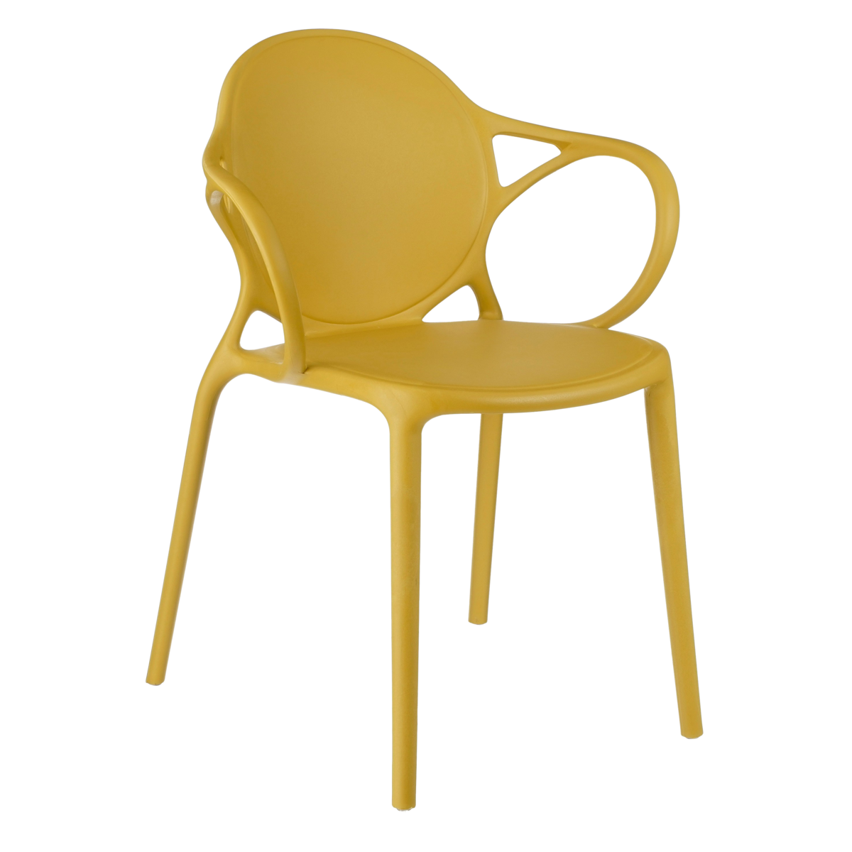 44edee6d-c044-40a2-86aa-405da3bf3c29_1200x1200_fill.png