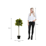 Laurel tree artificial plant - H120 x Ø40 cm - Green