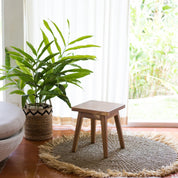Seagrass Rug | Tassel Rug DASA