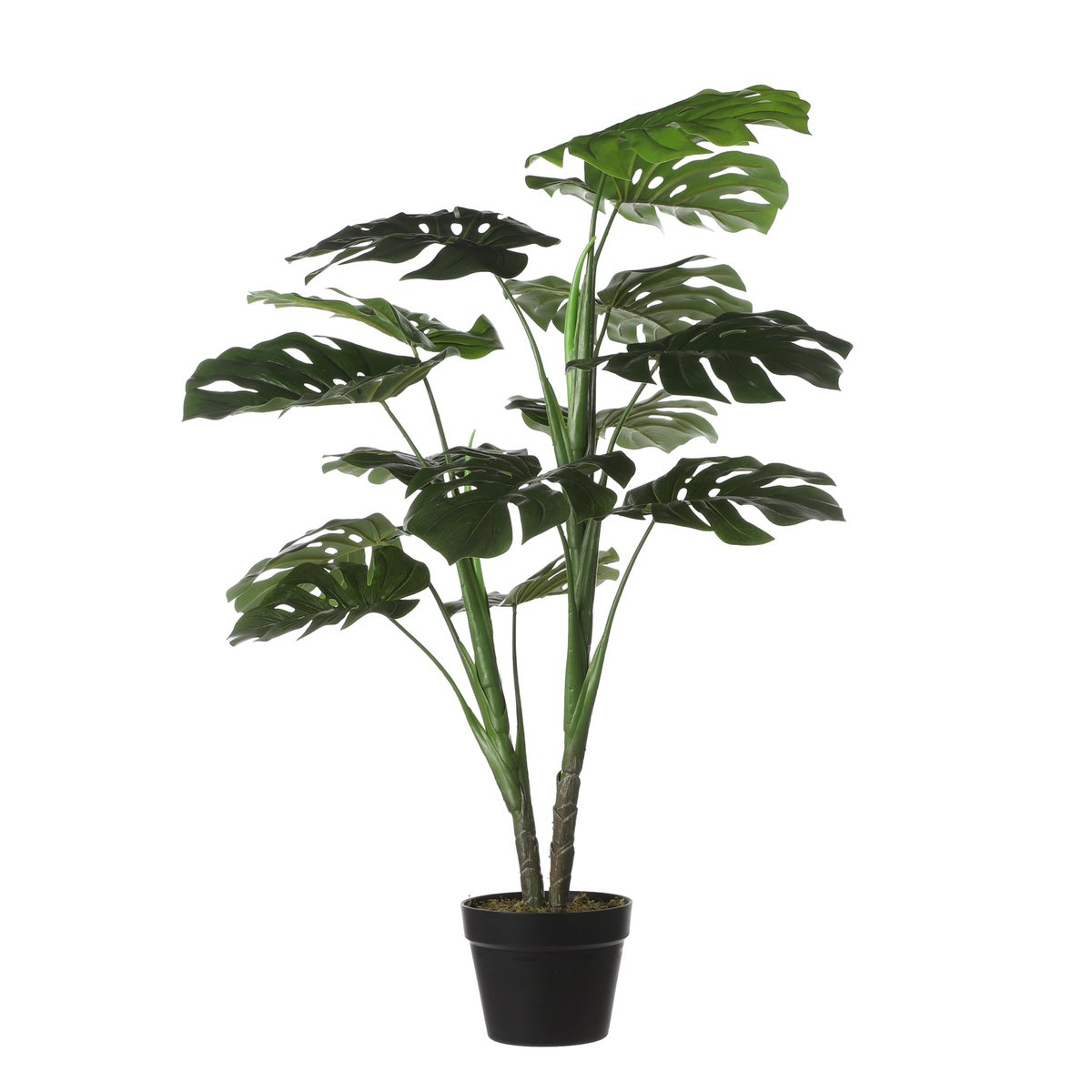 Monstera Artificial Plant - H100 x Ø70 cm - Green