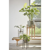 Ascot Plant Stand - L21 x W21 x H35 cm - Metal - Black