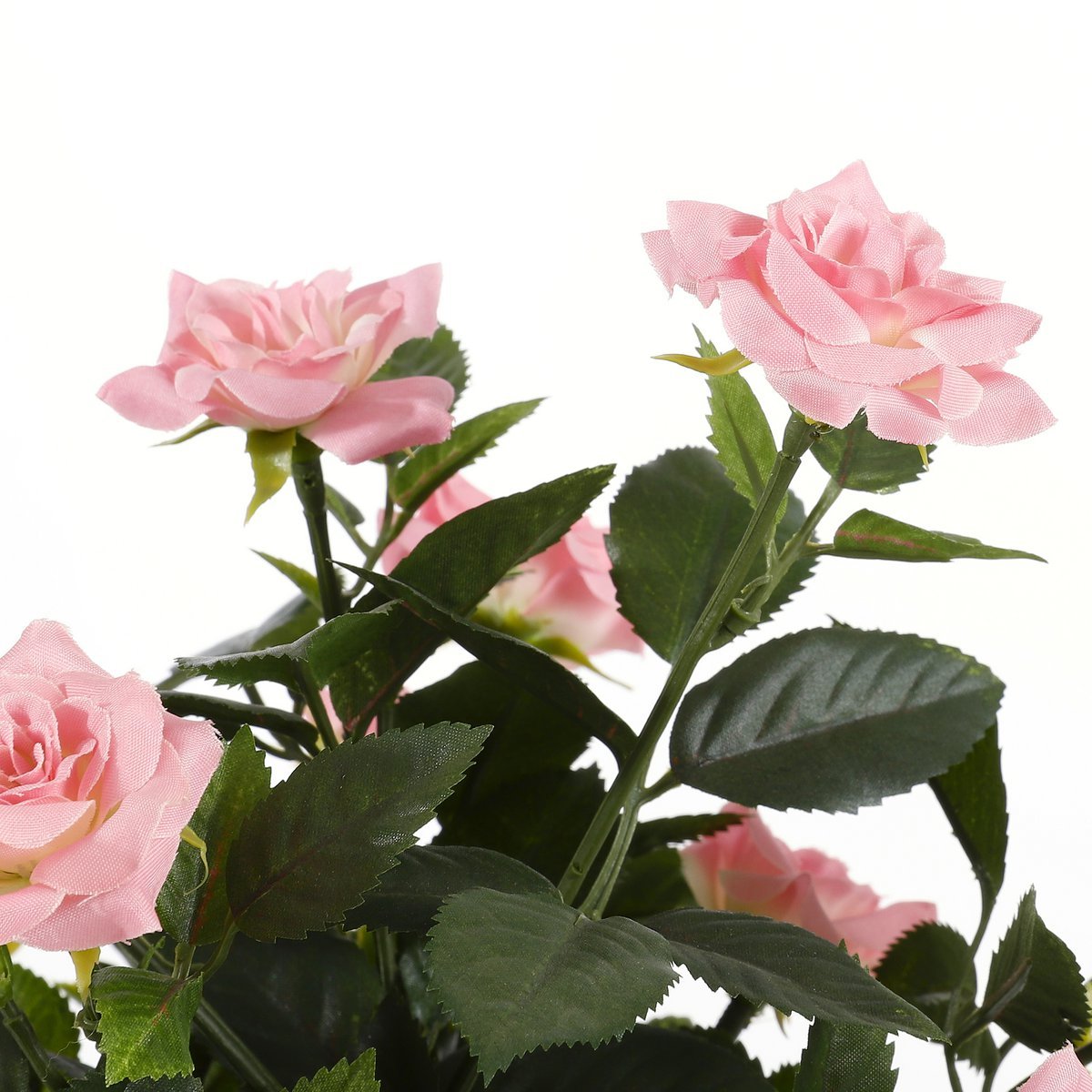 4bd1a6d3-e7ca-4284-9538-75e8e31cab41_1200x1200_fill.jpg