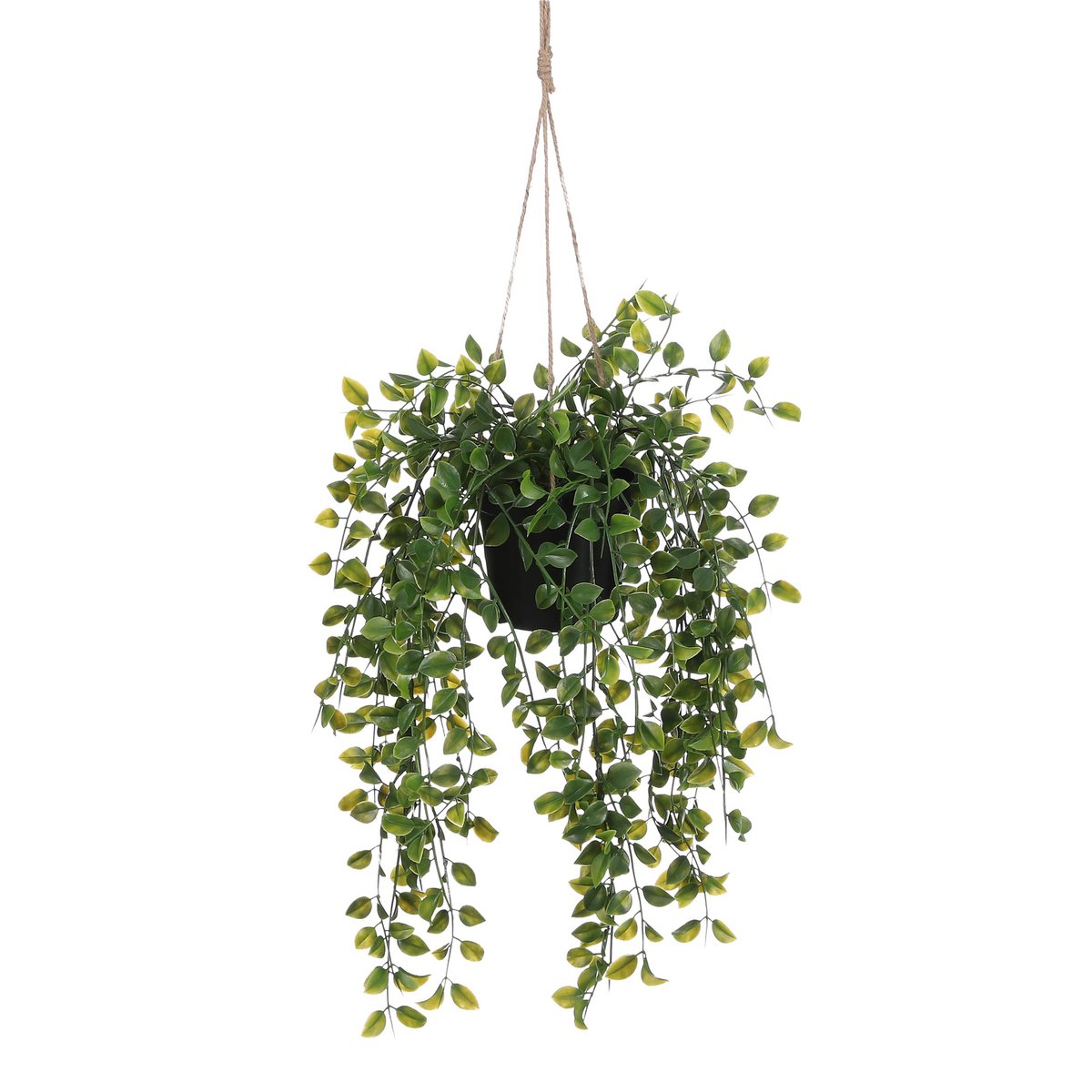 Artificial Ficus Hanging Plant in Pot - H46 x Ø20 cm - Green