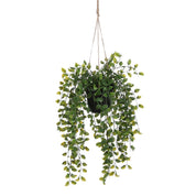 Artificial Ficus Hanging Plant in Pot - H46 x Ø20 cm - Green