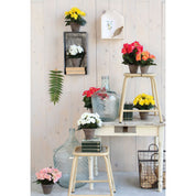 Artificial Begonia Plant in Stan Flowerpot - H30 x Ø25 cm - Salmon Pink