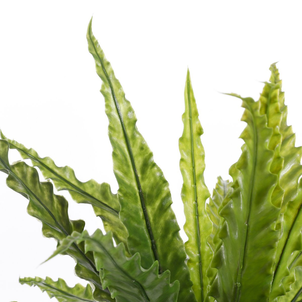 Asplenium Artificial Plant in Flower Pot Stan - H54 x Ø66 cm - Green