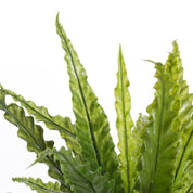 Asplenium Artificial Plant in Flower Pot Stan - H54 x Ø66 cm - Green