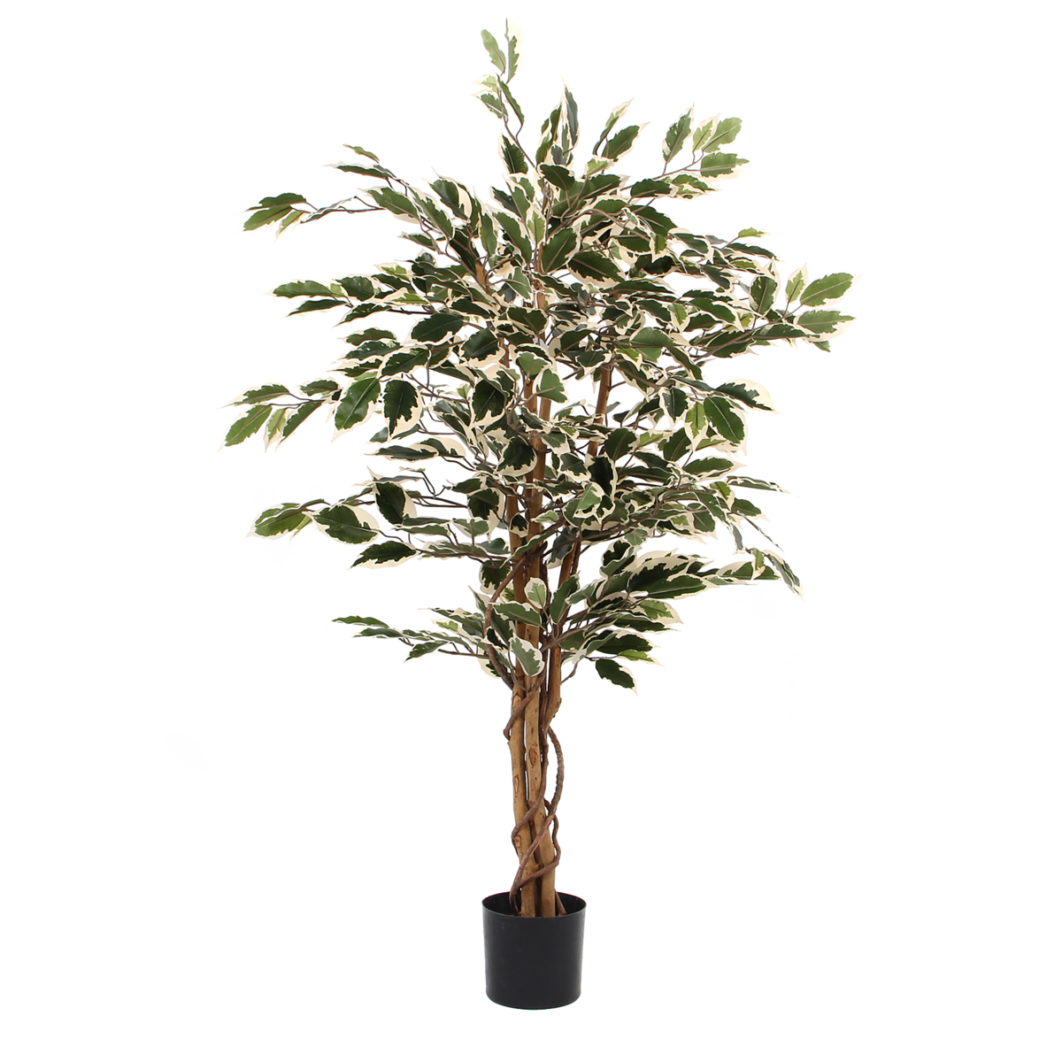 Artificial Ficus Plant - H110 x Ø70 cm - Green Variegated