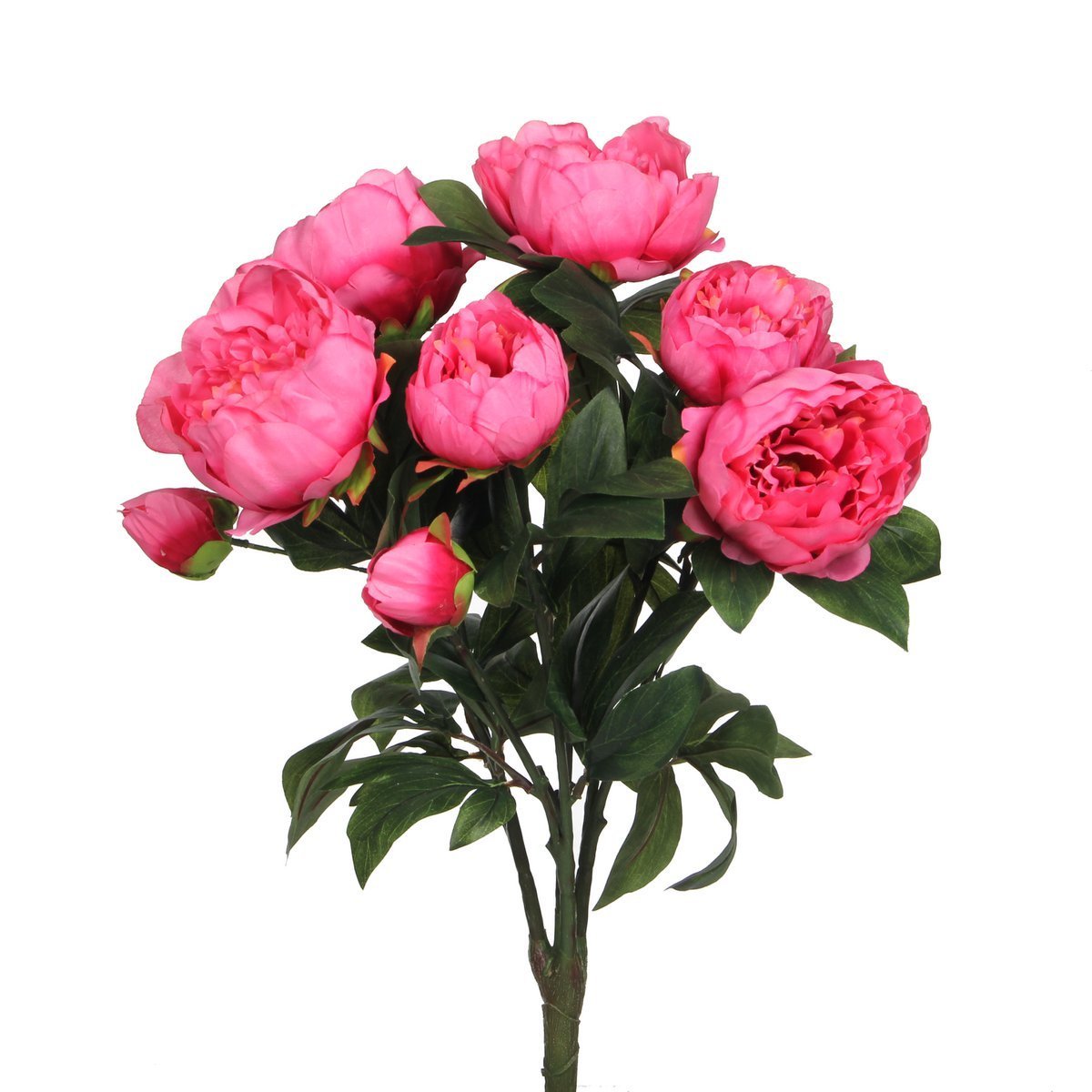 5ba97c9c-6f42-4bd7-8537-0493e5f268d7_1200x1200_fill.jpg