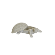 Schildpaddendoos - Polyresin - Zand - 15,5x13,5x7,5cm