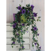 Artificial Petunia Hanging Plant in Stan Flower Pot - L25 x W45 x H50 cm - Dark Purple