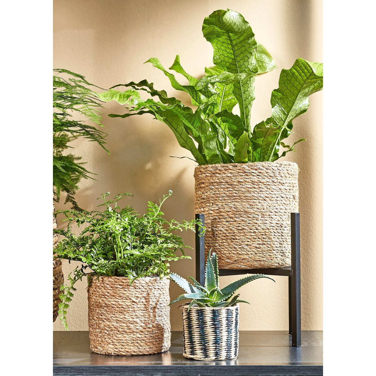 Atlantic Plant Mandjes - Set van 3 - 