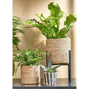 Atlantic Plant Mandjes - Set van 3 - 