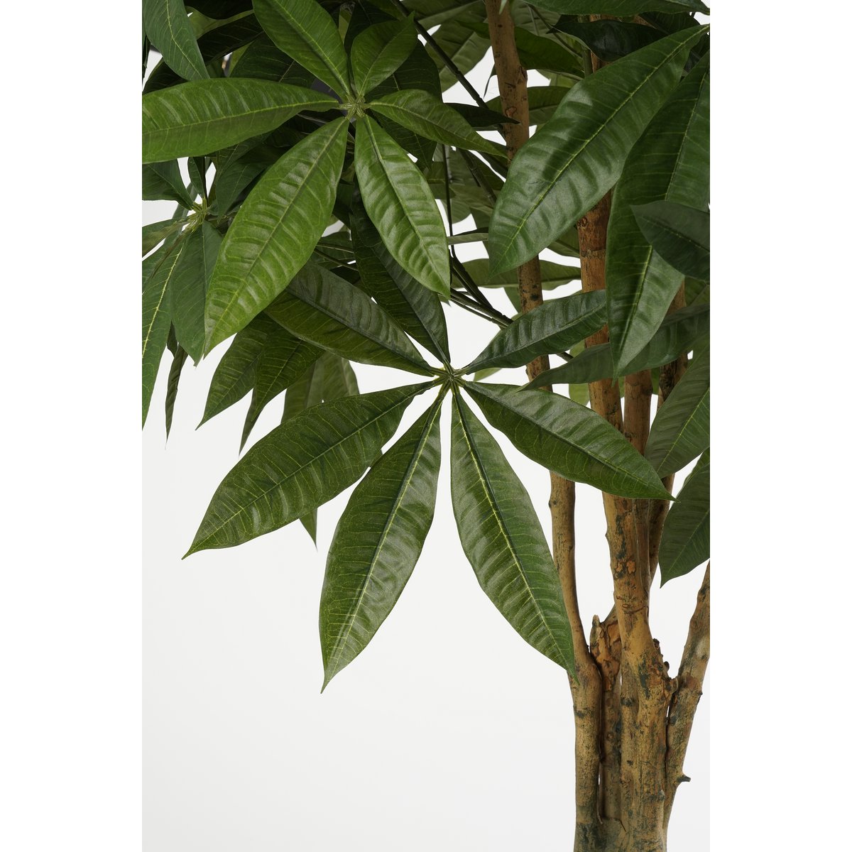 Pachira Artificial Plant - H150 x Ø65 cm - Green