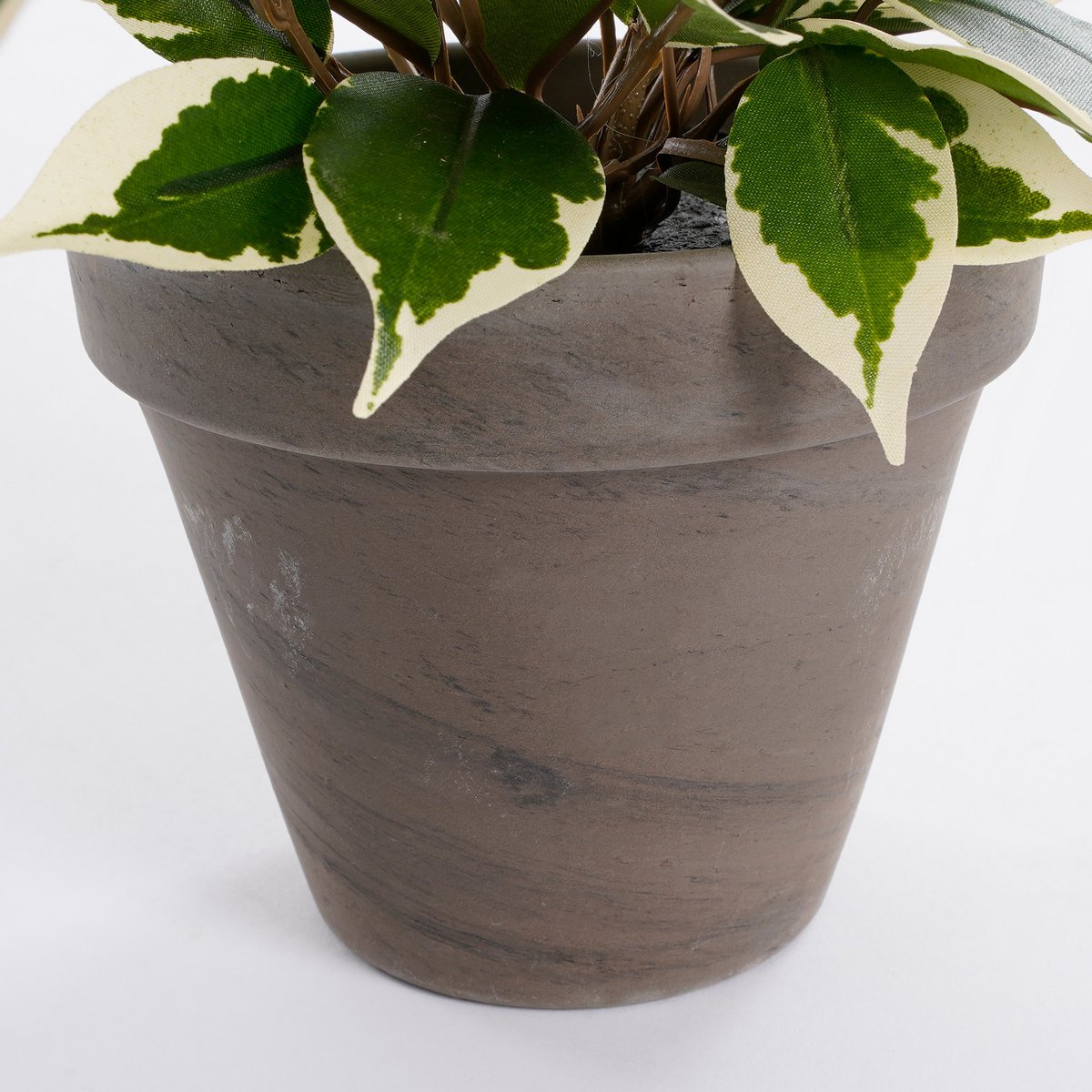 Ficus Natasja Kunstplant 