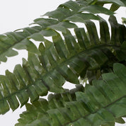 Artificial Boston Fern Plant in Flower Pot Stan - H42 x Ø50 cm - Green