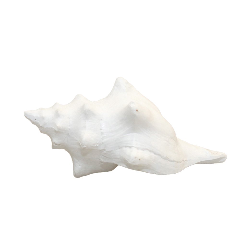 Decorative white polyresin bowl 12.5x7x5cm