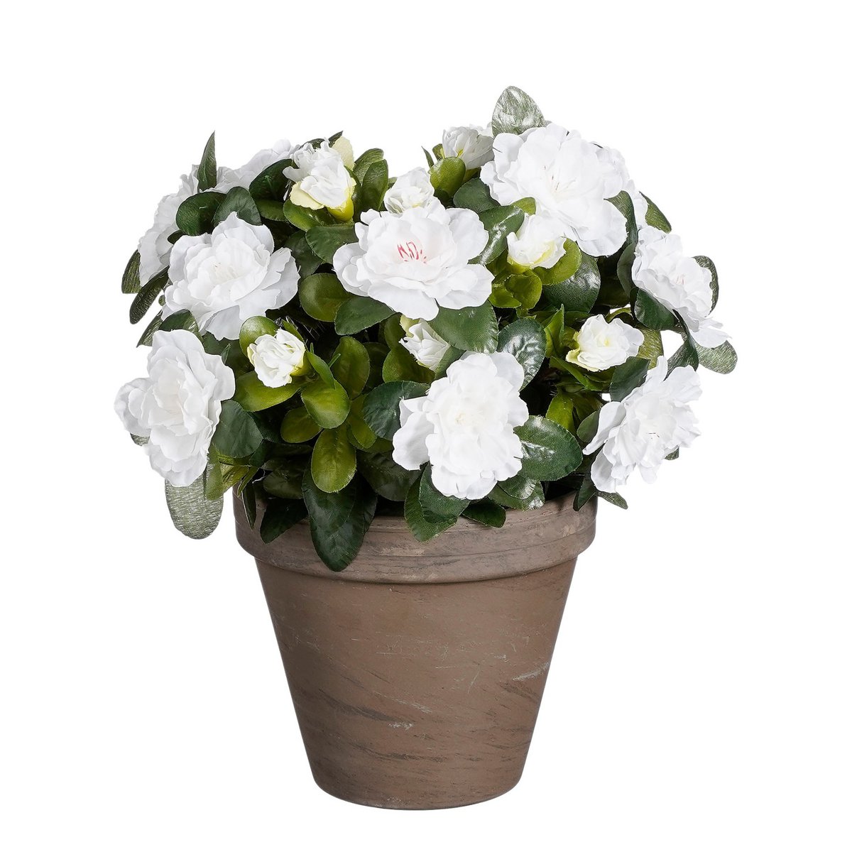 Artificial Azalea Plant in Flower Pot Stan - H31 x Ø26 cm - White
