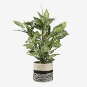 Kunstplant in Bloempot Stan - H70 x Ø55 cm - Groen