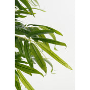 Bamboo artificial plant in pot - H150 x Ø60 cm - Green