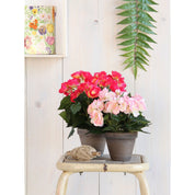 Artificial Begonia Plant in Flower Pot Stan - H30 x Ø25 cm - Dark Pink