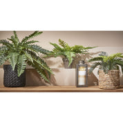 Künstliche Cycas-Palme im Blumentopf Stan - H33 x Ø34 cm - Grün