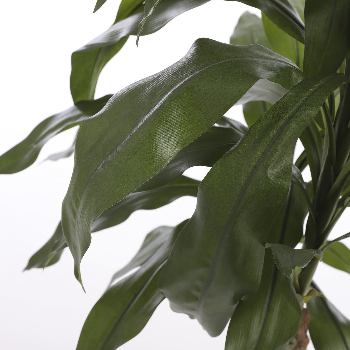 Dracaena Artificial Plant - H100 x Ø70 cm