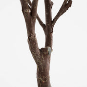 Artificial plant Eucalyptus tree in Pot - H180 x Ø80 cm - Green