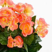 Artificial Begonia Plant in Stan Flowerpot - H30 x Ø25 cm - Salmon Pink