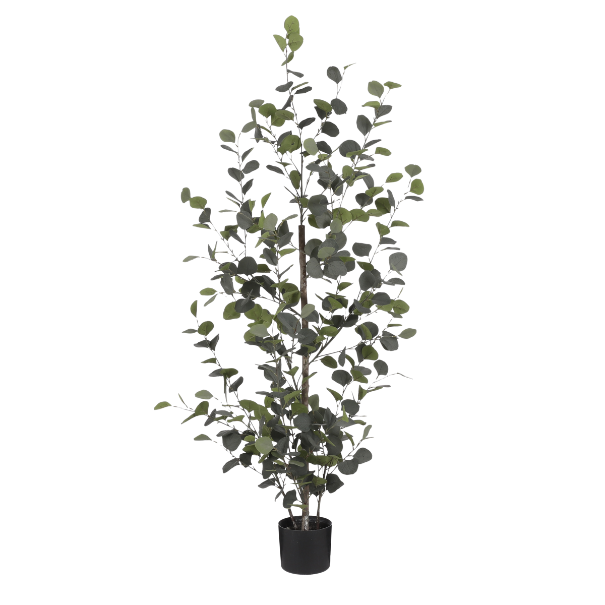 6b4bda66-944d-4da9-a0be-300832d60654_1200x1200_fill.png