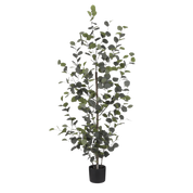 Artificial Eucalyptus Plant in Flower Pot - H150 x Ø30 cm - Green