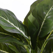 Evergreen Artificial Plant in Flower Pot Stan - H49 x Ø40 cm - Green