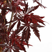 Plante d'érable artificielle - H140 x Ø80 cm - rouge