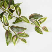 Tradescantia artificielle suspendue - L15 x l20 x H54 cm - Vert