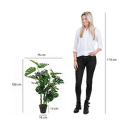 Monstera Artificial Plant - H100 x Ø75 cm - Green