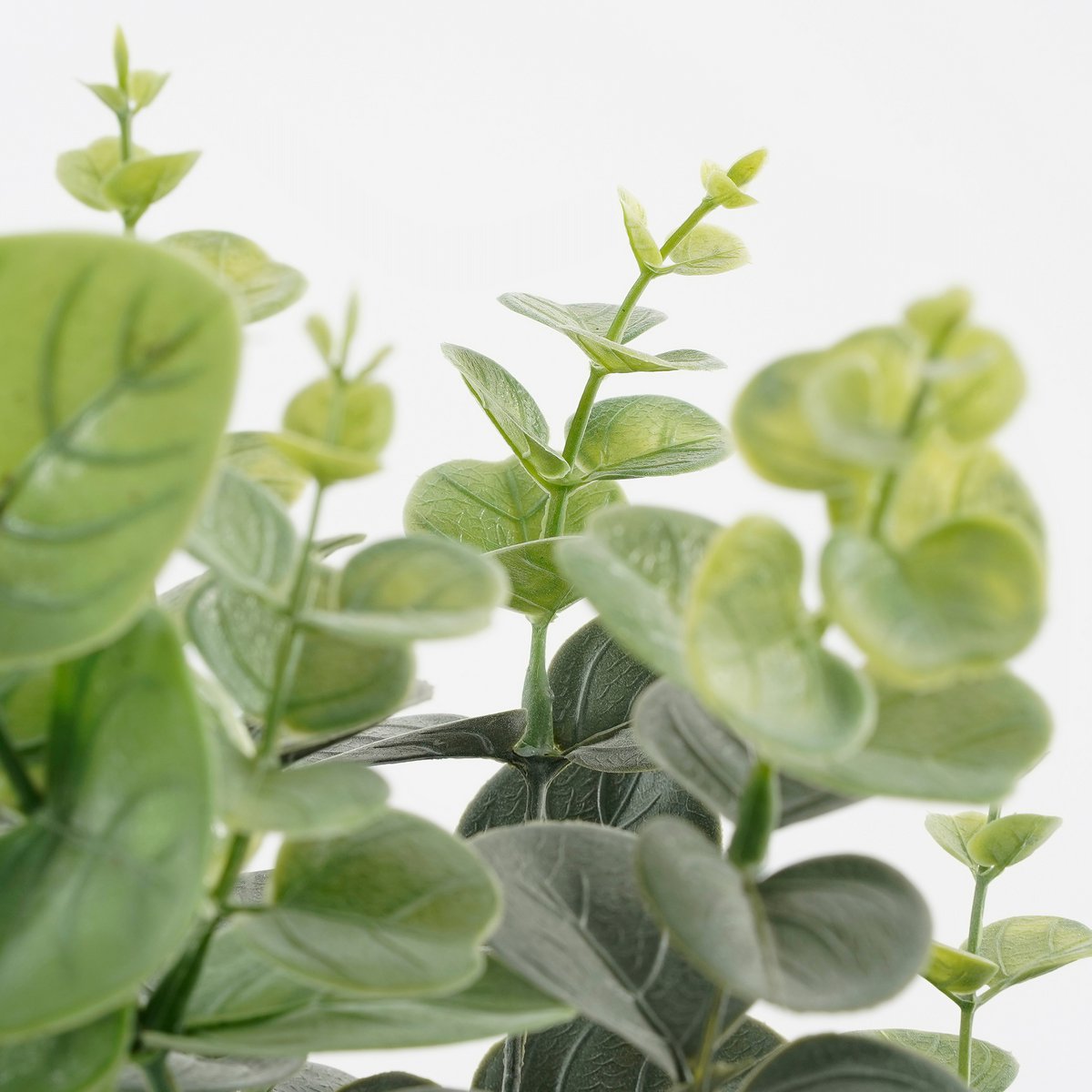 Plante d'eucalyptus artificielle en pot - H53 x Ø23 cm - Vert