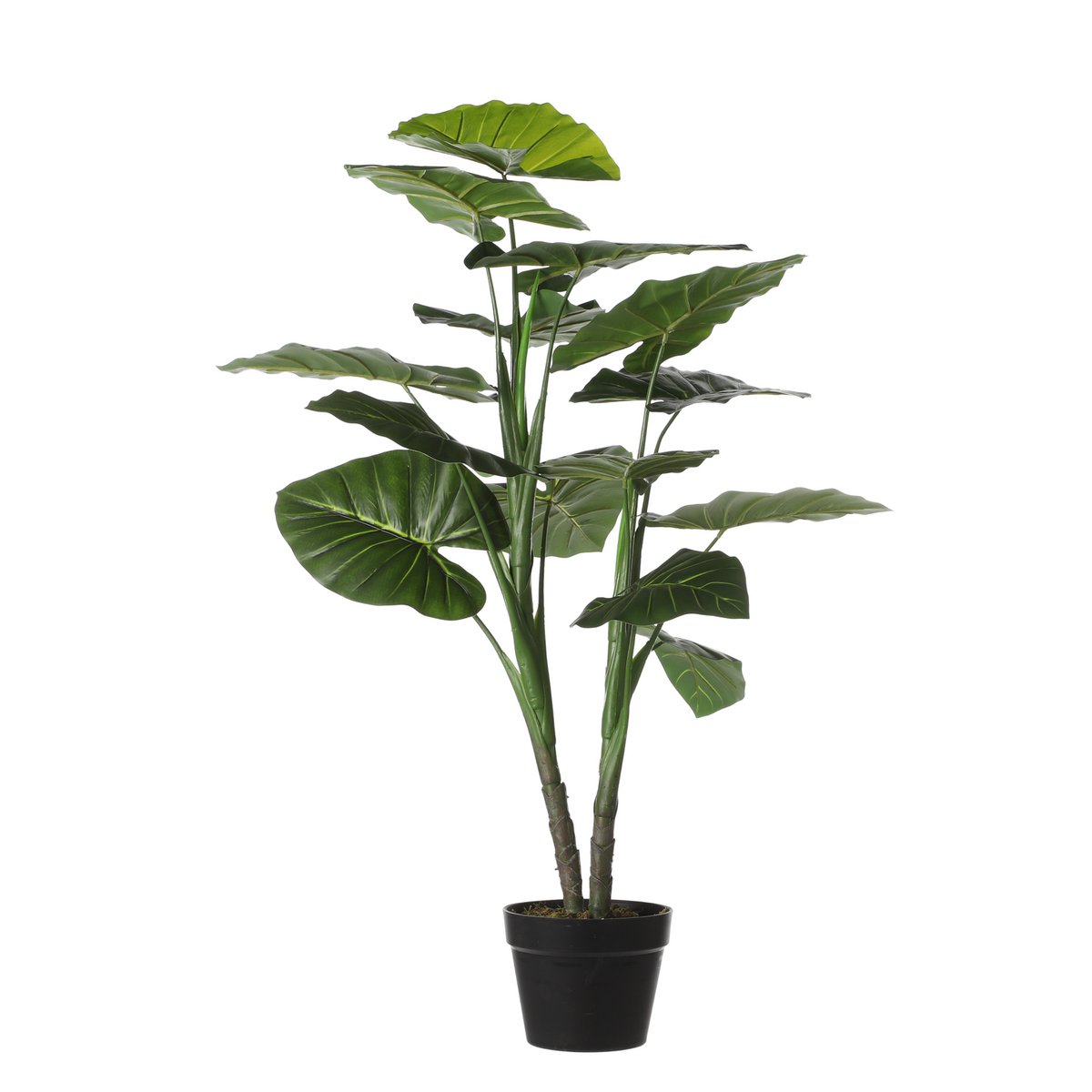 Taro Artificial Plant - H100 x Ø70 cm - Green