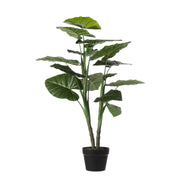 Taro Artificial Plant - H100 x Ø70 cm - Green
