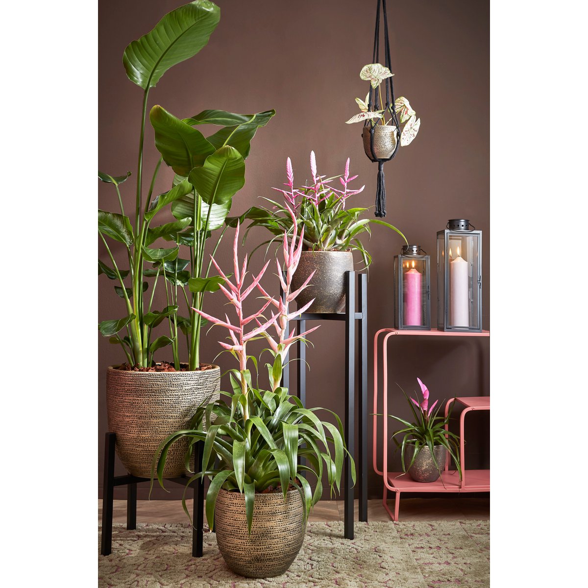 Ascot Plant Stand XL - L46 x W46 x H40 cm - Metal - Black