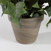 Hedera Artificial Plant in Flower Pot Stan - H45 x Ø25 cm - Green