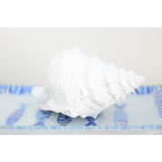 Decorative white polyresin bowl 25x17x13cm
