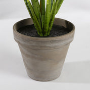 Evergreen Artificial Plant in Flower Pot Stan - H49 x Ø40 cm - Green