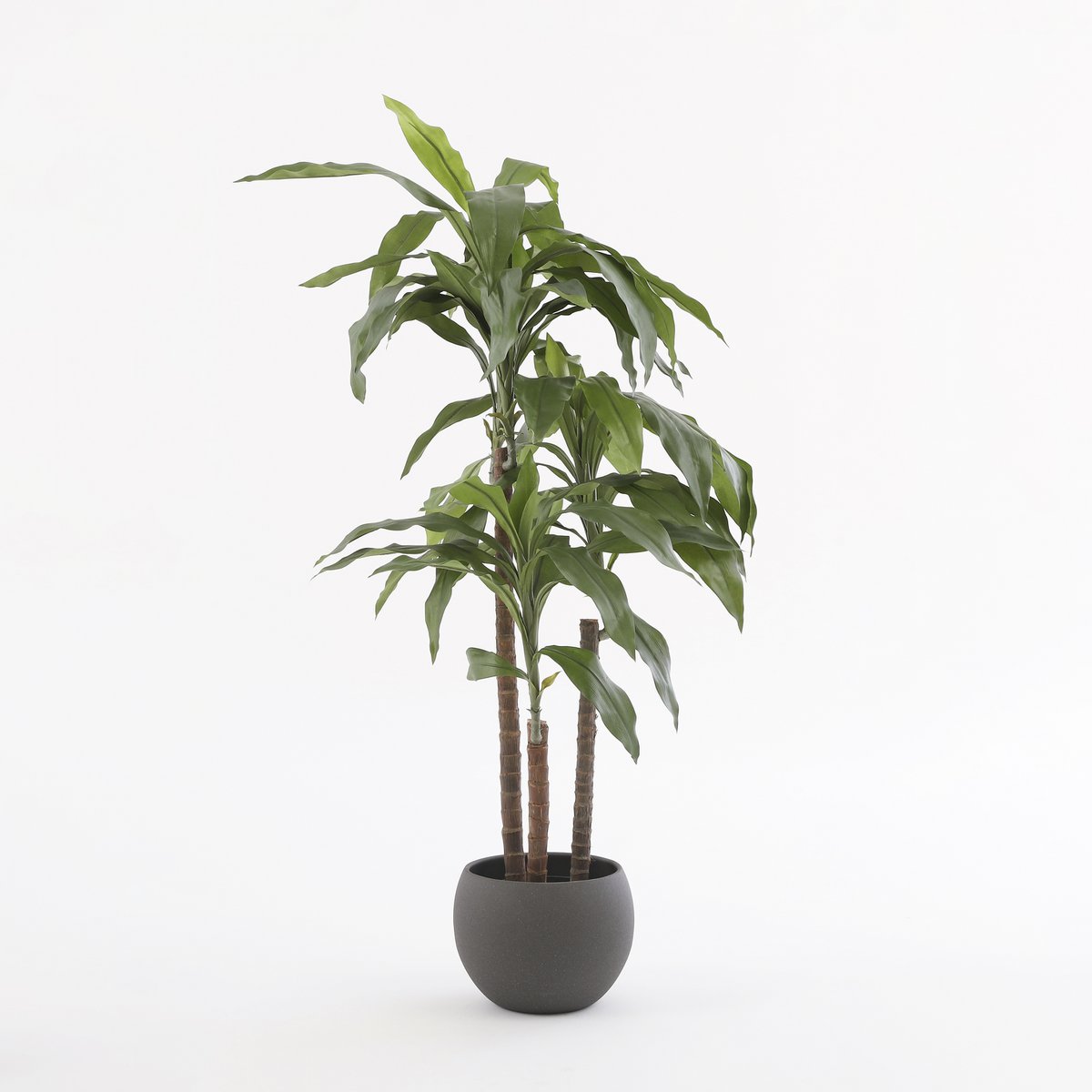 Dracaena Artificial Plant - H100 x Ø70 cm