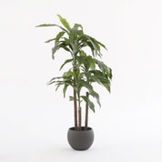 Dracaena Artificial Plant - H100 x Ø70 cm